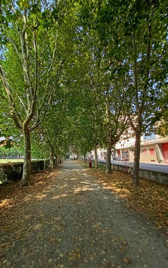 Casa Caty Daire Pinerolo Dış mekan fotoğraf